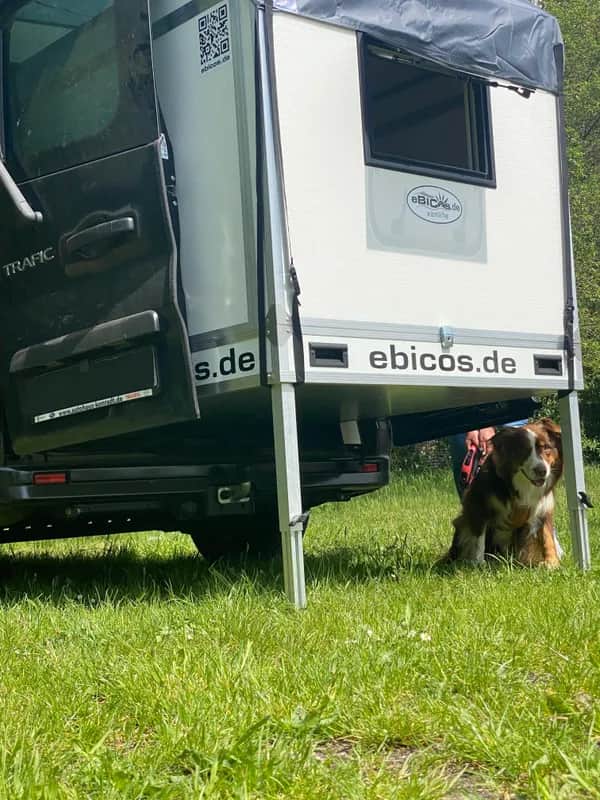 Wie mache ich am besten Camping mit Hund?